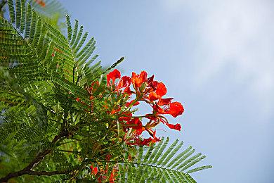 《辐射4》粉丝自制新扩展包推出 提供2-4小时内容